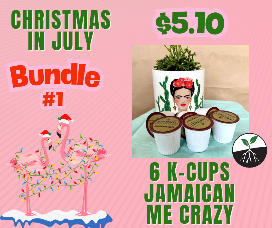 Christmas in July Bundle #1 - 6 Jamaican Me Crazy K-Cups