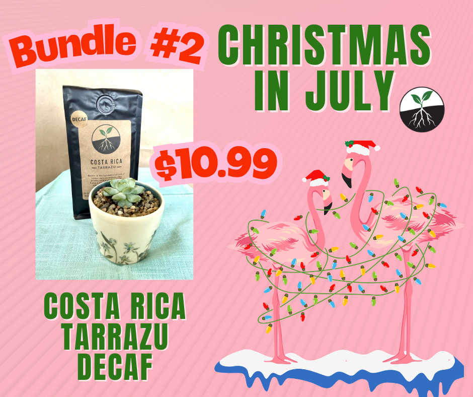 Christmas in July Bundle #2 - Costa Rica Tarrazu DECAF