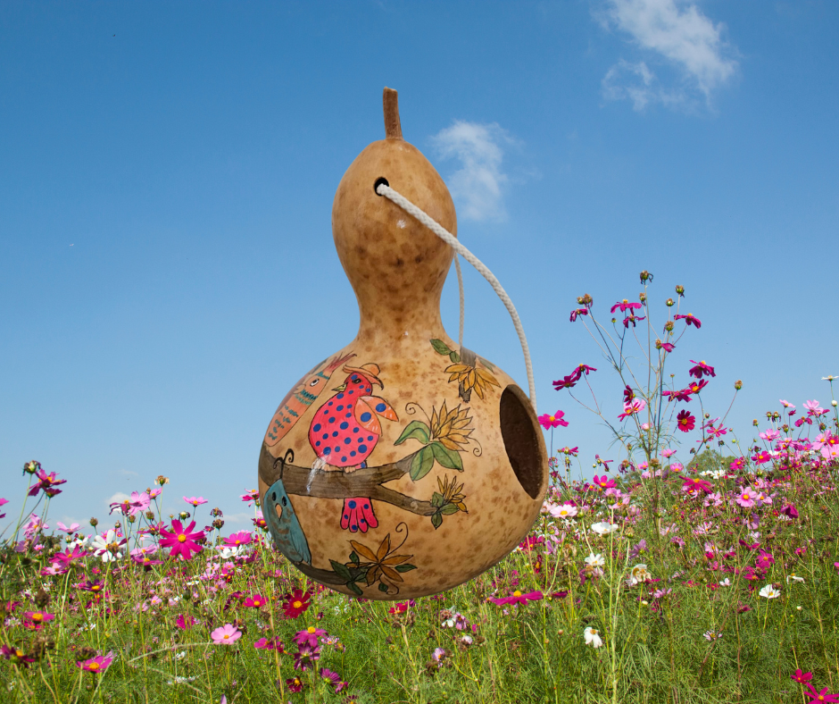 Hand-Painted Birdhouse Gourd