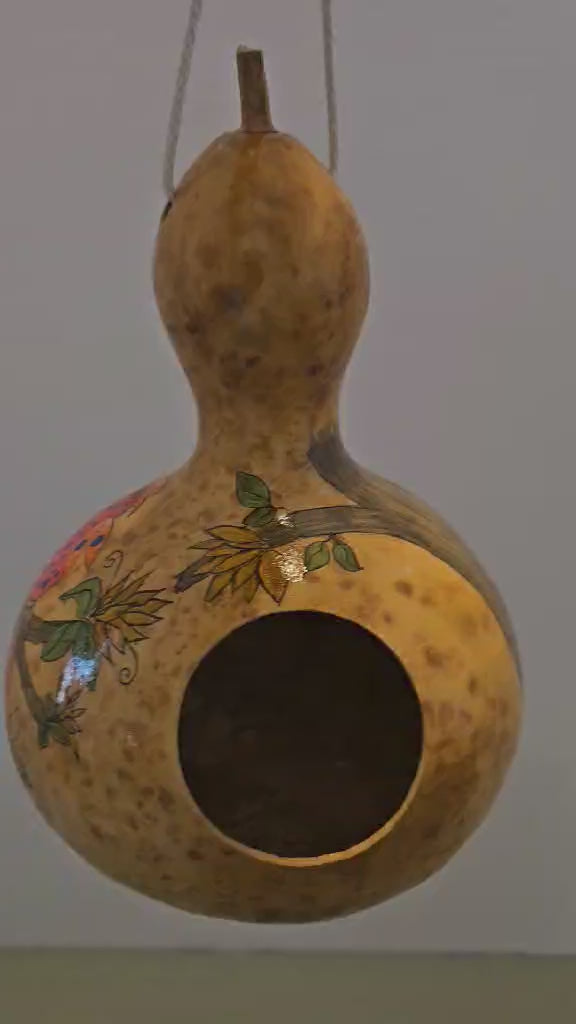 Hand-Painted Birdhouse Gourd